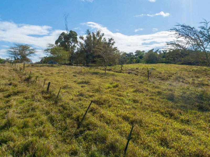 Vacant Land Residential For Sale in New Salt Rock City - Photo 4