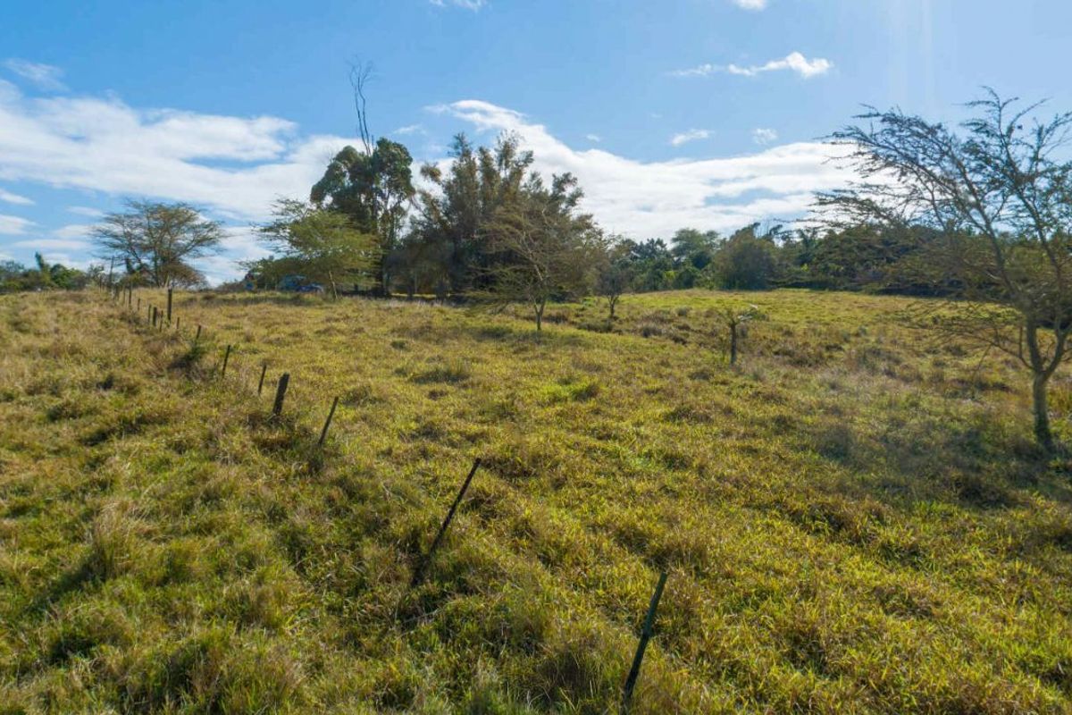 Vacant Land Residential For Sale in New Salt Rock City - Photo 4