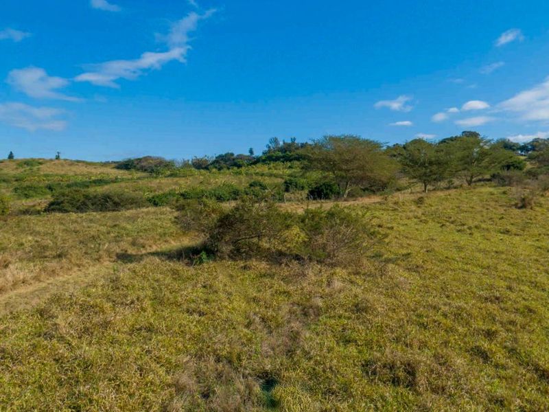 Vacant Land Residential For Sale in New Salt Rock City - Photo 3