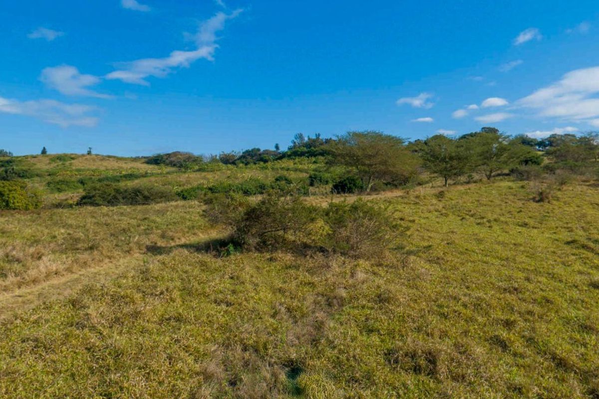 Vacant Land Residential For Sale in New Salt Rock City - Photo 3