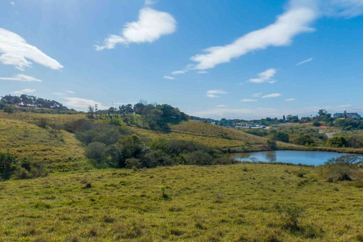 Vacant Land Residential For Sale in New Salt Rock City - Photo 5