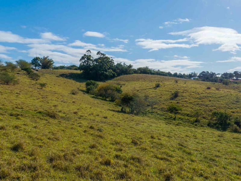 Vacant Land Residential For Sale in New Salt Rock City - Photo 4