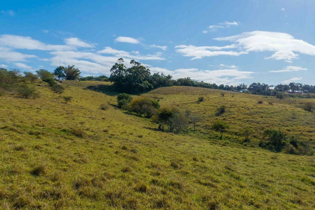 Vacant Land Residential For Sale in New Salt Rock City - Photo 4