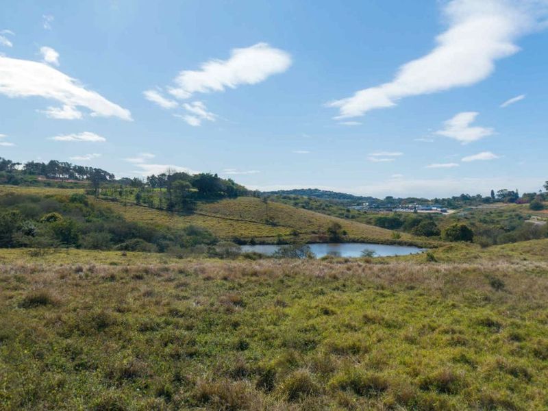 Vacant Land Residential For Sale in New Salt Rock City - Photo 6