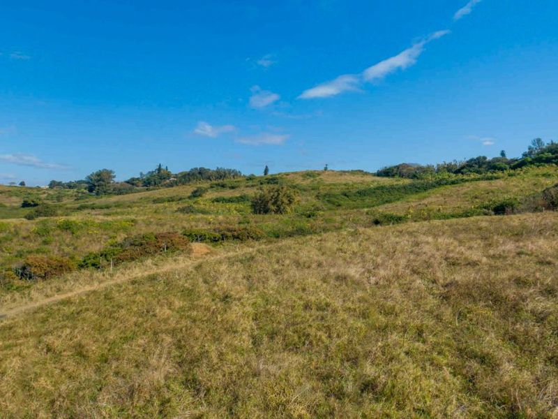 Vacant Land Residential For Sale in New Salt Rock City - Photo 3