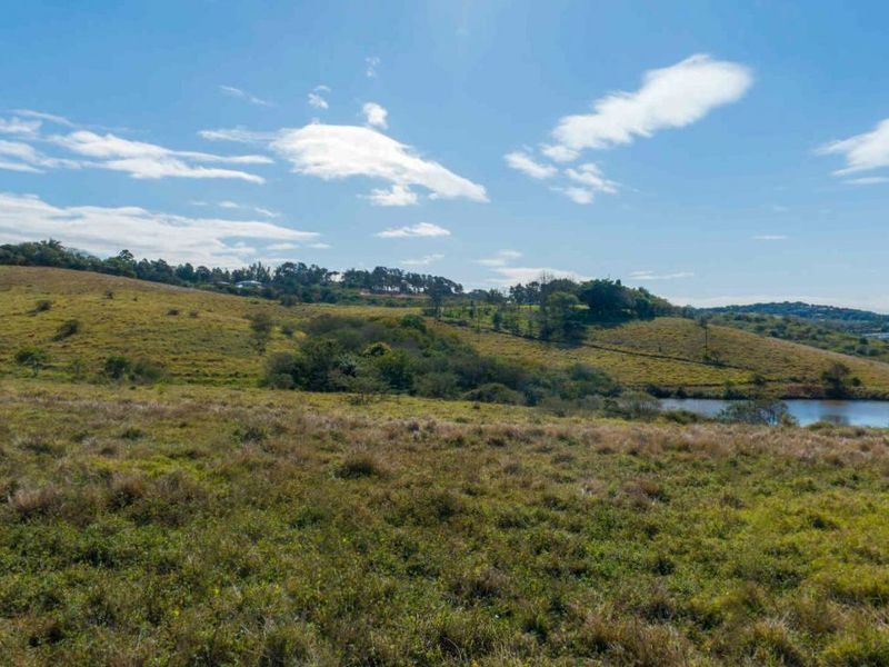 Vacant Land Residential For Sale in New Salt Rock City - Photo 5