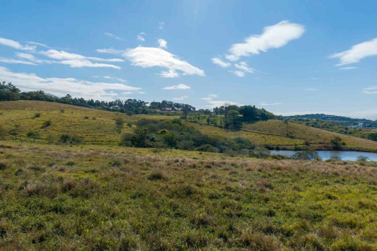 Vacant Land Residential For Sale in New Salt Rock City - Photo 5