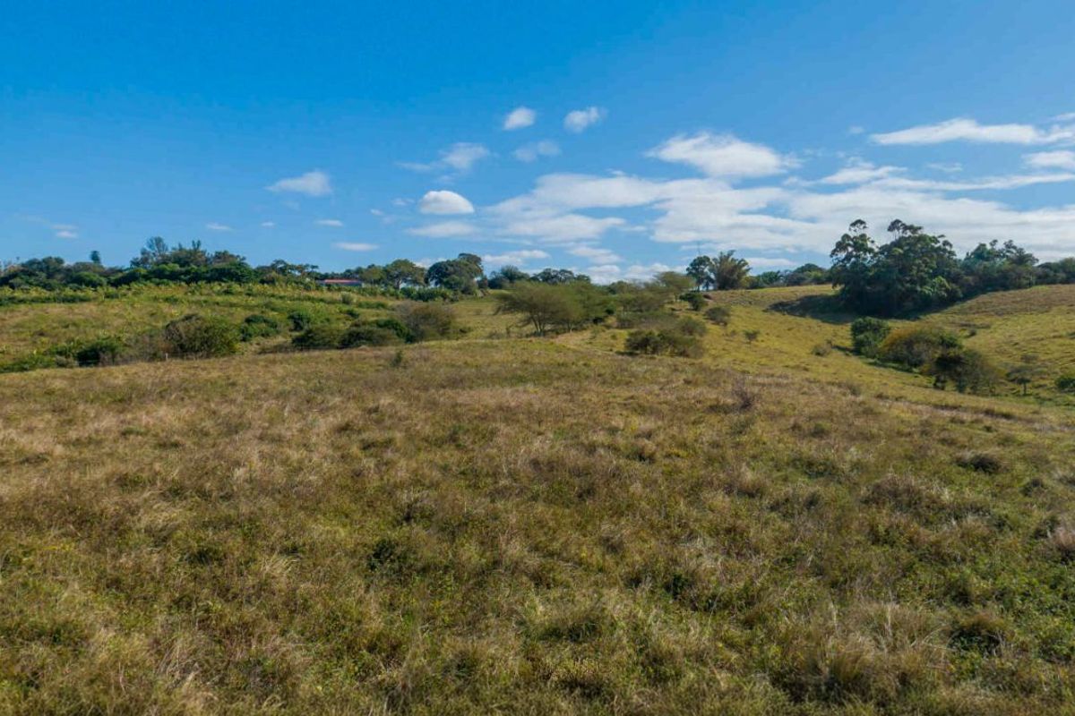 Vacant Land Residential For Sale in New Salt Rock City - Photo 4