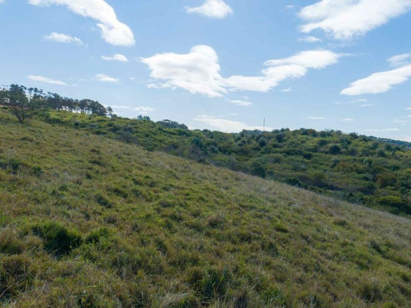 Vacant Land Residential For Sale in New Salt Rock City - Photo 6