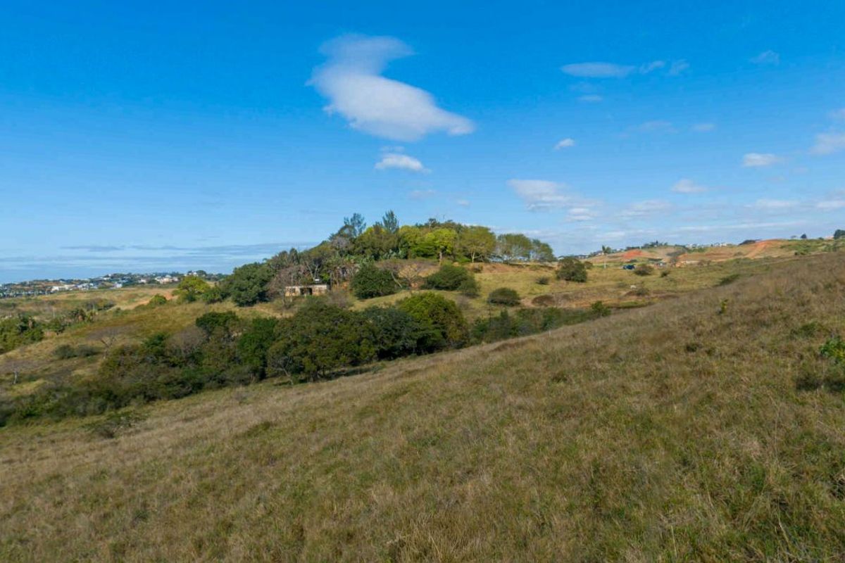 Vacant Land Residential For Sale in New Salt Rock City - Photo 3