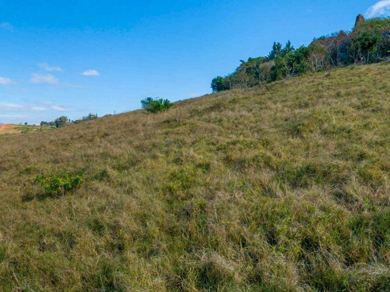 Vacant Land Residential For Sale in New Salt Rock City - Photo 4