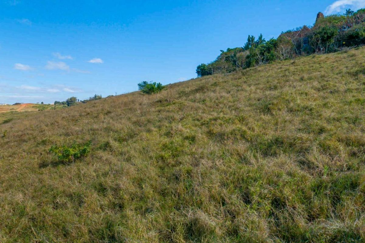 Vacant Land Residential For Sale in New Salt Rock City - Photo 4