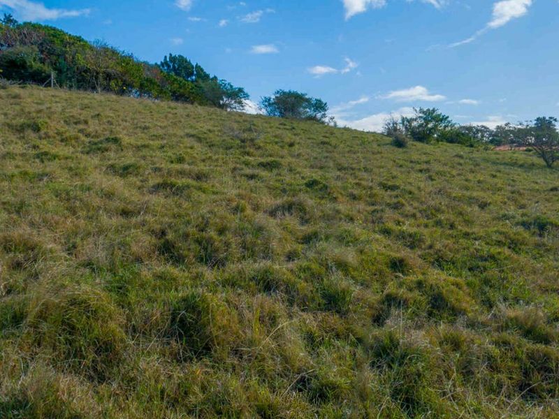 Vacant Land Residential For Sale in New Salt Rock City - Photo 5