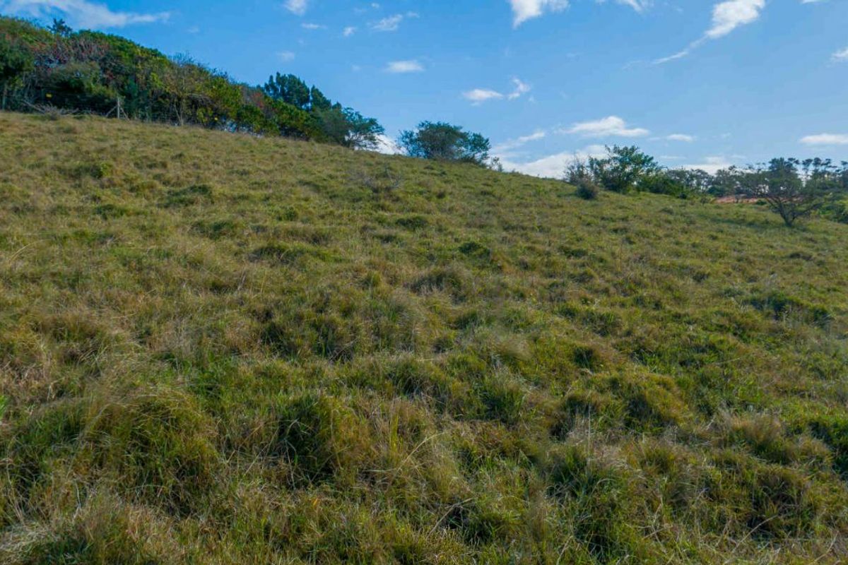 Vacant Land Residential For Sale in New Salt Rock City - Photo 5