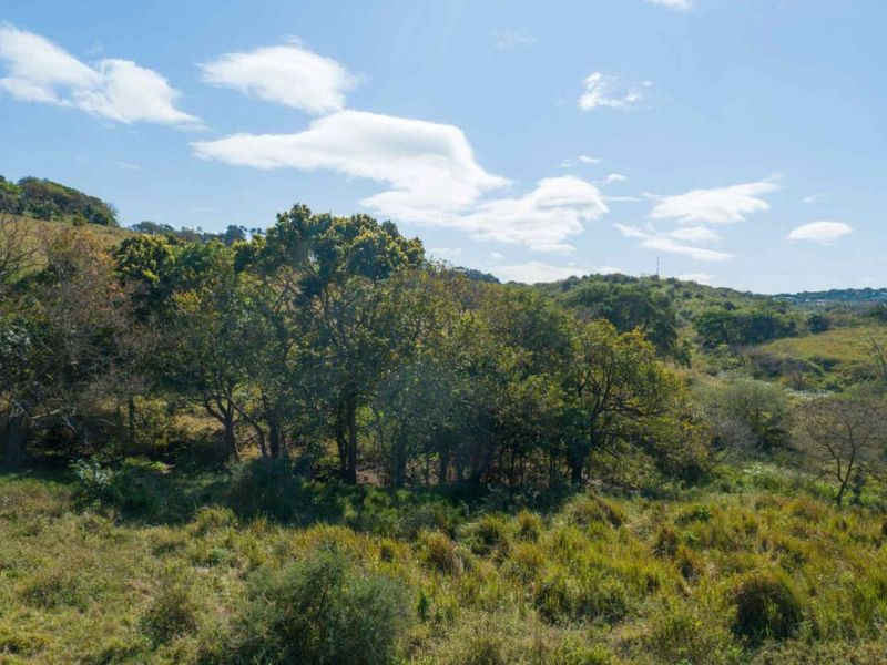 Vacant Land Residential For Sale in New Salt Rock City - Photo 6