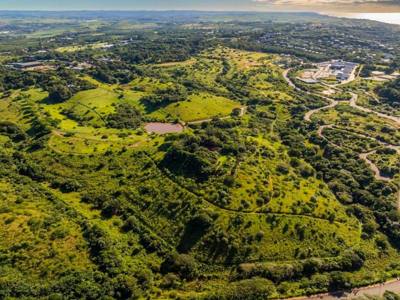 Vacant Land Residential For Sale in New Salt Rock City - Photo 9