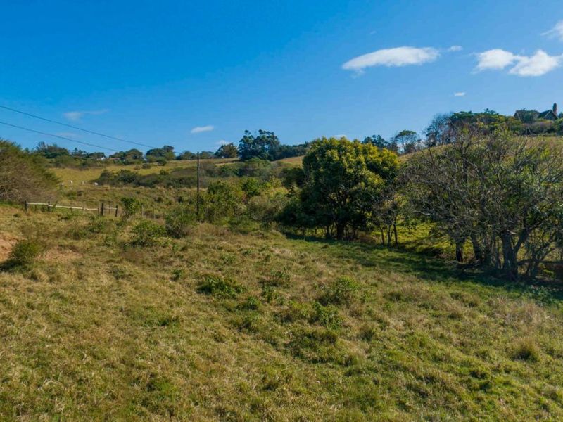 Vacant Land Residential For Sale in New Salt Rock City - Photo 5