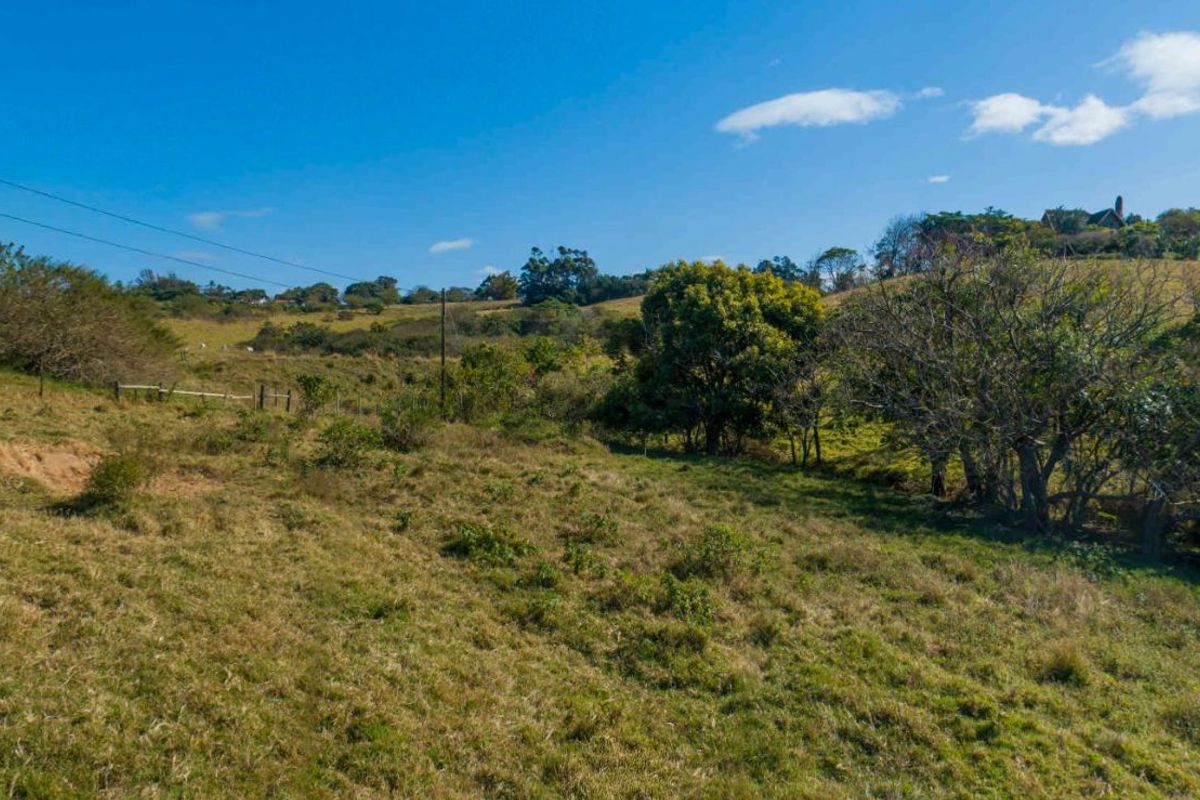 Vacant Land Residential For Sale in New Salt Rock City - Photo 5