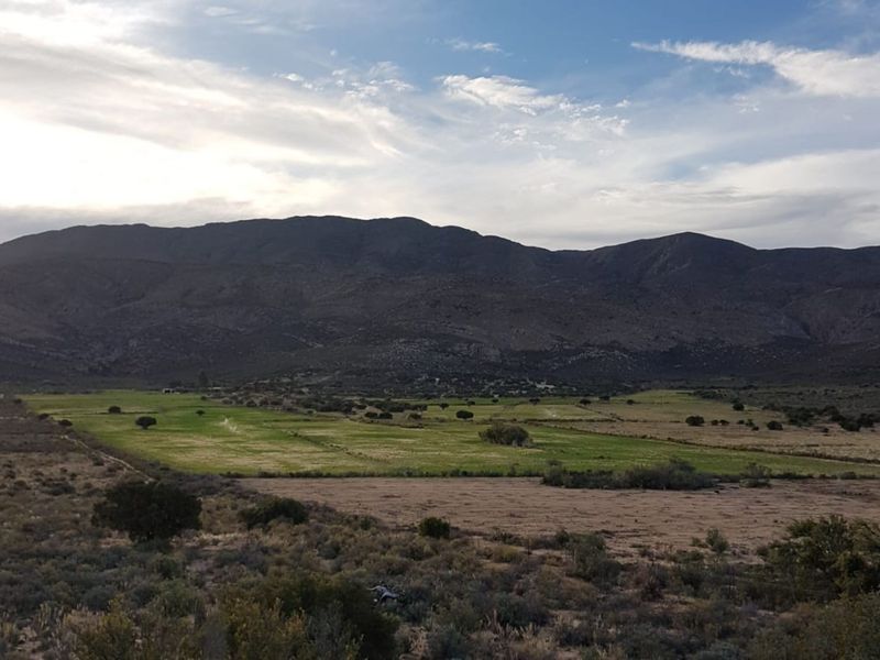Farm For Sale in Ladismith Central - Photo 1
