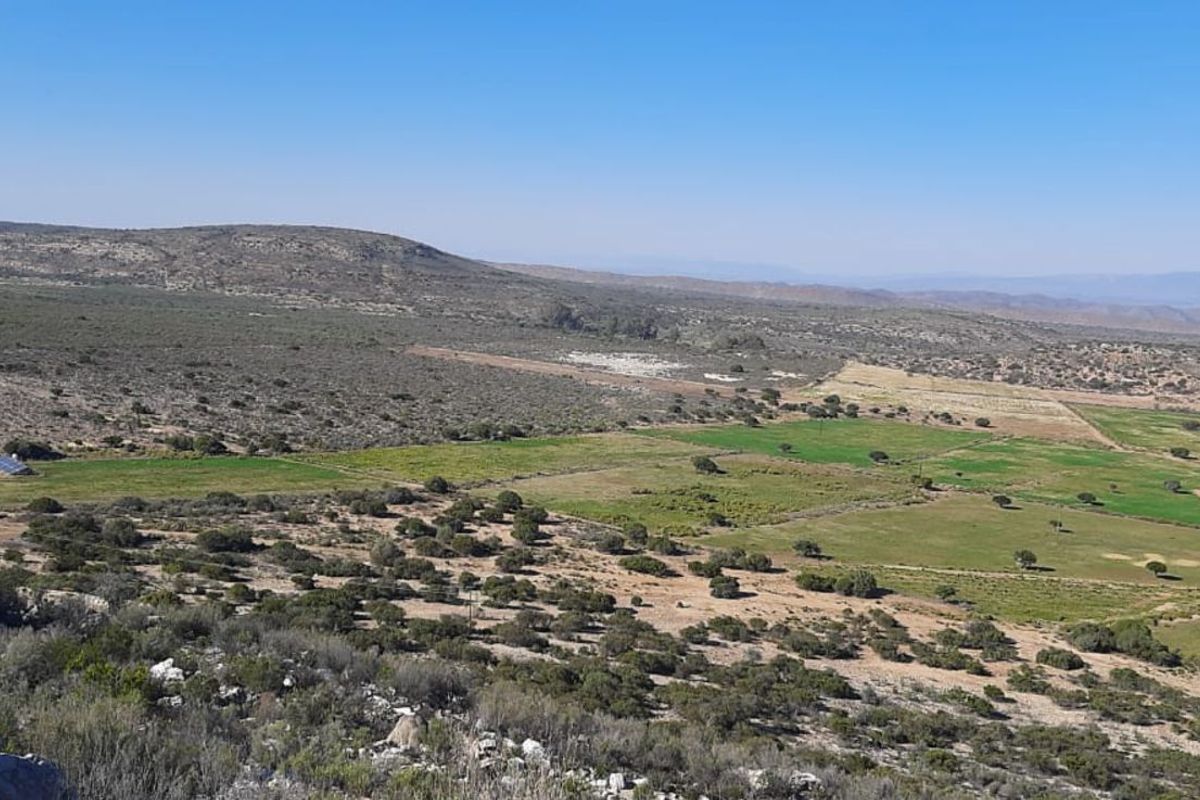 Farm For Sale in Ladismith Central - Photo 3