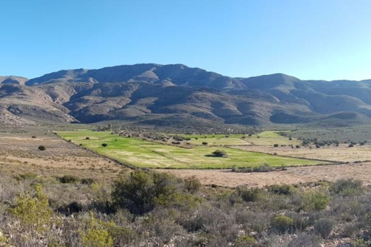 Farm For Sale in Ladismith Central - Photo 4