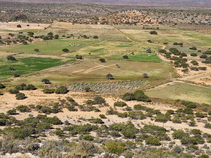 Farm For Sale in Ladismith Central - Photo 5