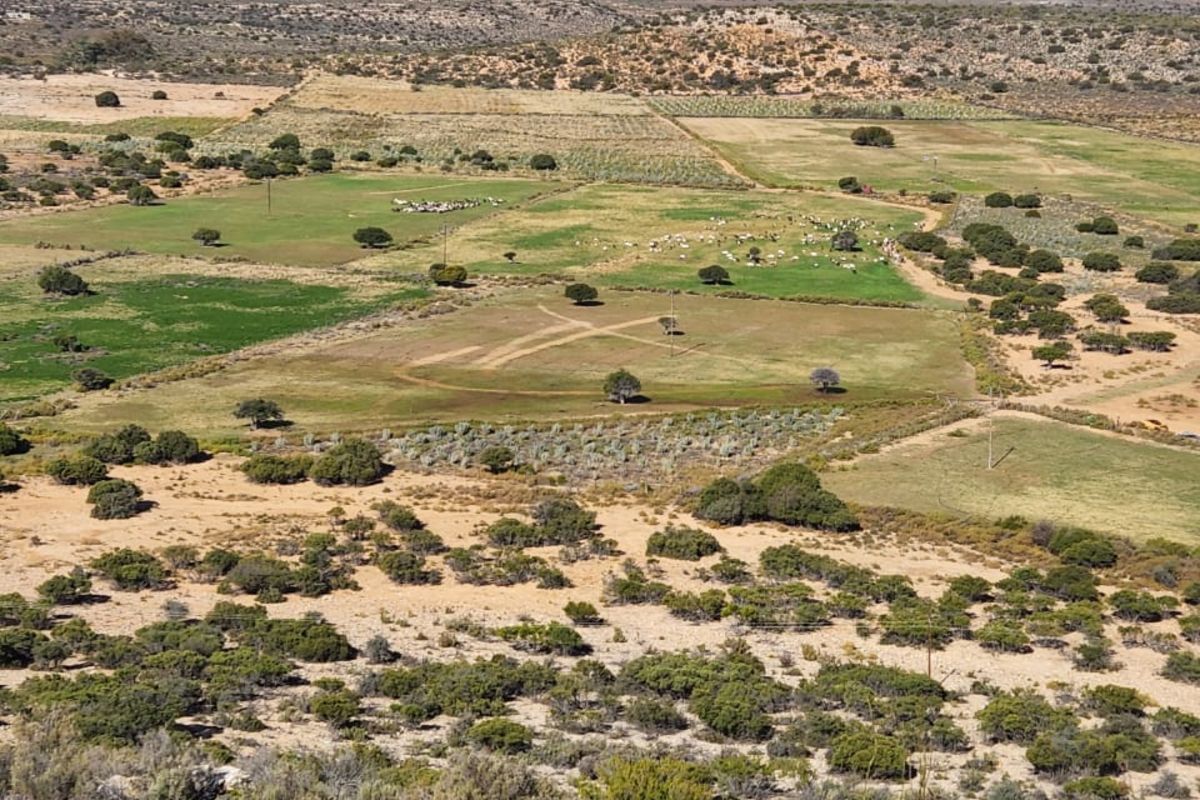 Farm For Sale in Ladismith Central - Photo 5