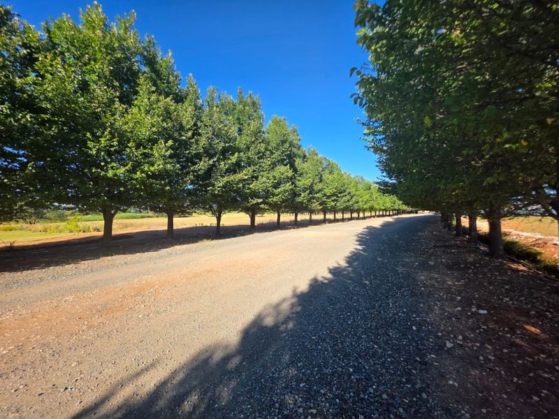 Vacant Land Residential For Sale in Magersfontein Memorial Golf Estate - Photo 4