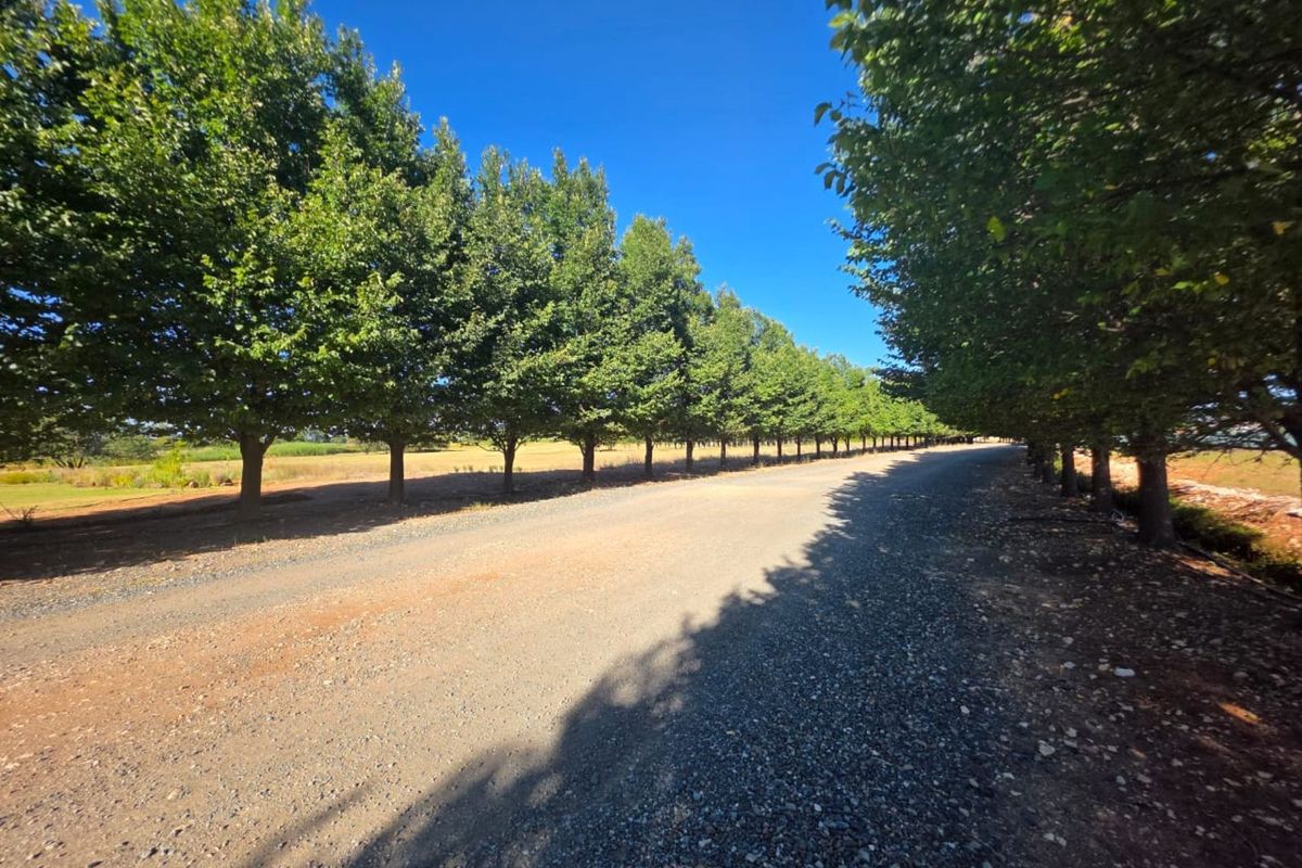 Vacant Land Residential For Sale in Magersfontein Memorial Golf Estate - Photo 4