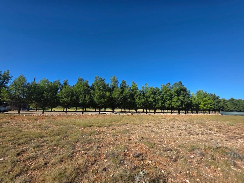 Vacant Land Residential For Sale in Magersfontein Memorial Golf Estate - Photo 5