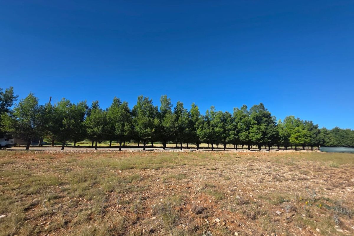 Vacant Land Residential For Sale in Magersfontein Memorial Golf Estate - Photo 5