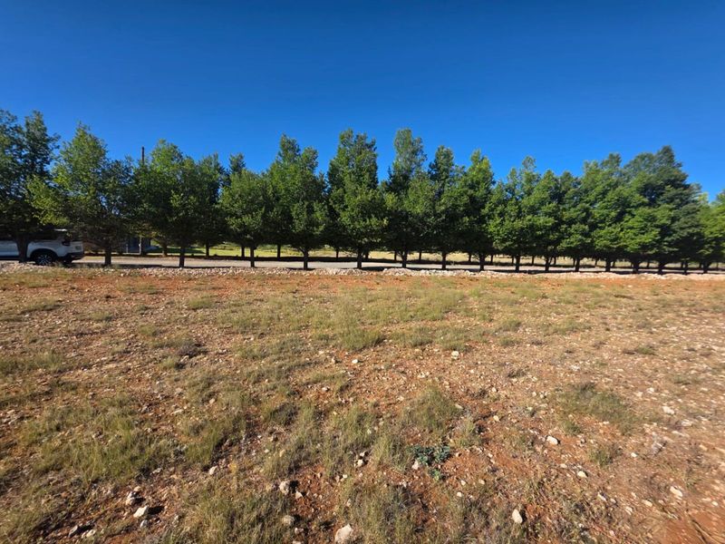 Vacant Land Residential For Sale in Magersfontein Memorial Golf Estate - Photo 6