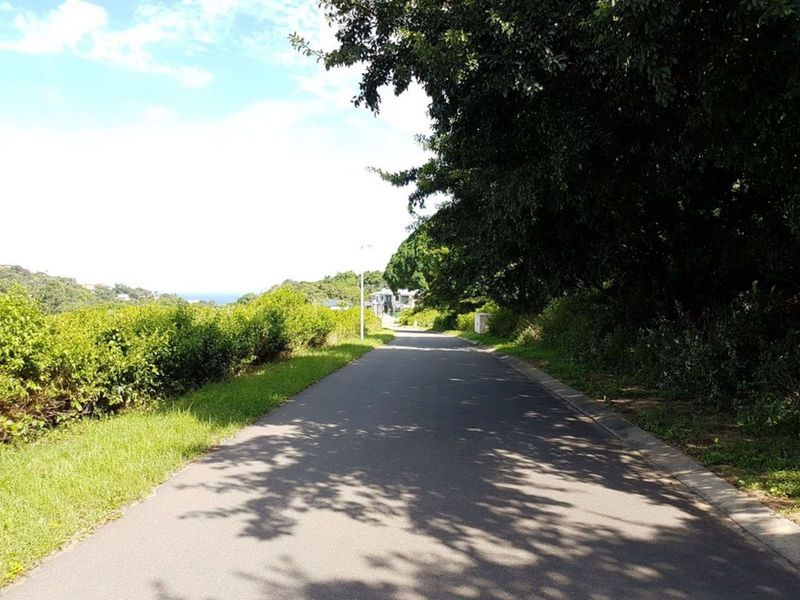 Vacant Land Residential For Sale in New Salt Rock City - Photo 7