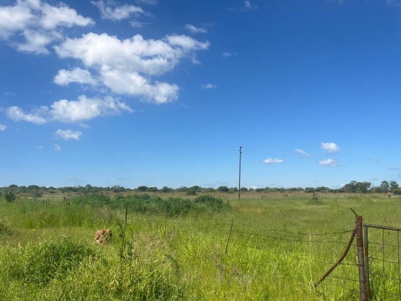 Farm For Sale in Dalmada AH - Photo 2