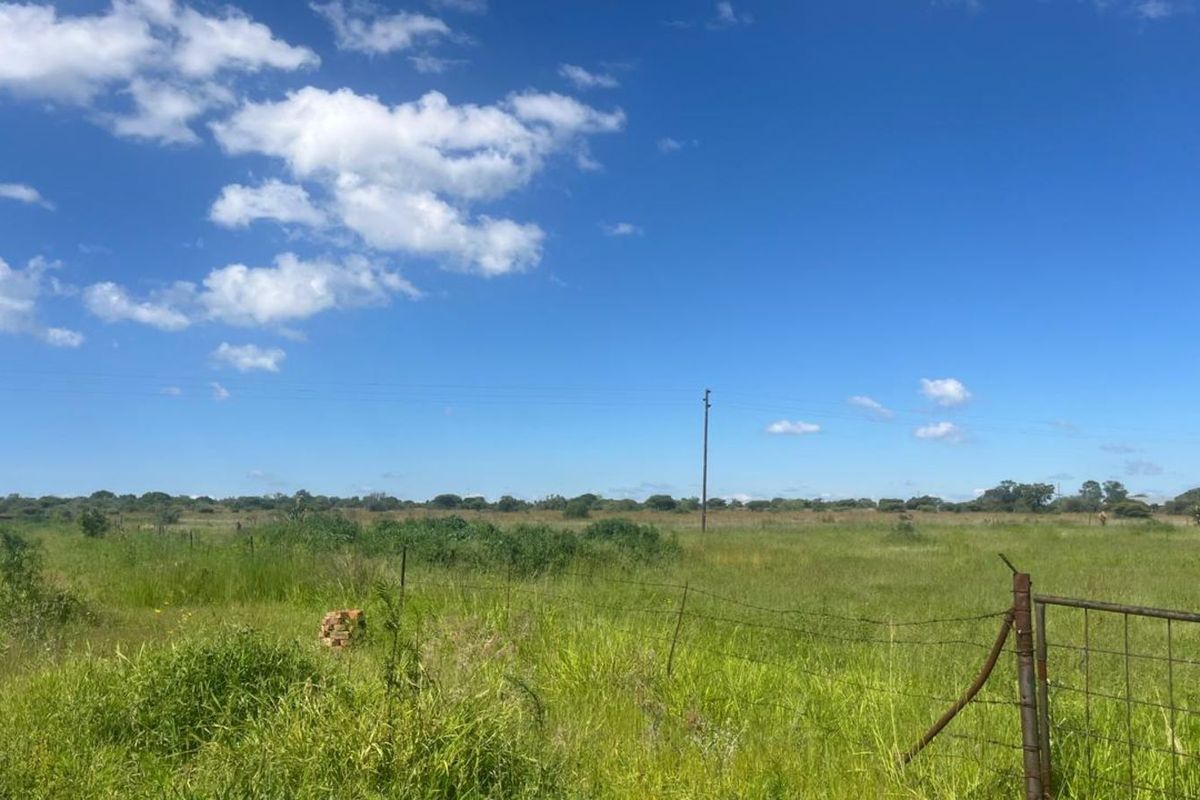 Farm For Sale in Dalmada AH - Photo 2