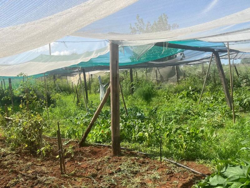 Farm For Sale in Dalmada AH - Photo 9