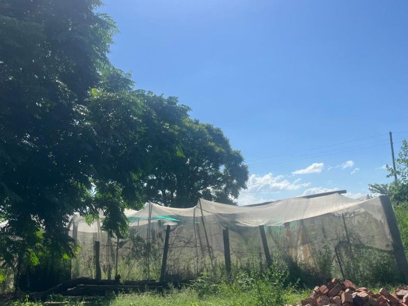 Farm For Sale in Dalmada AH - Photo 10