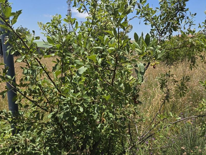 Vacant Land Residential For Sale in Vaal Marina Central - Photo 7