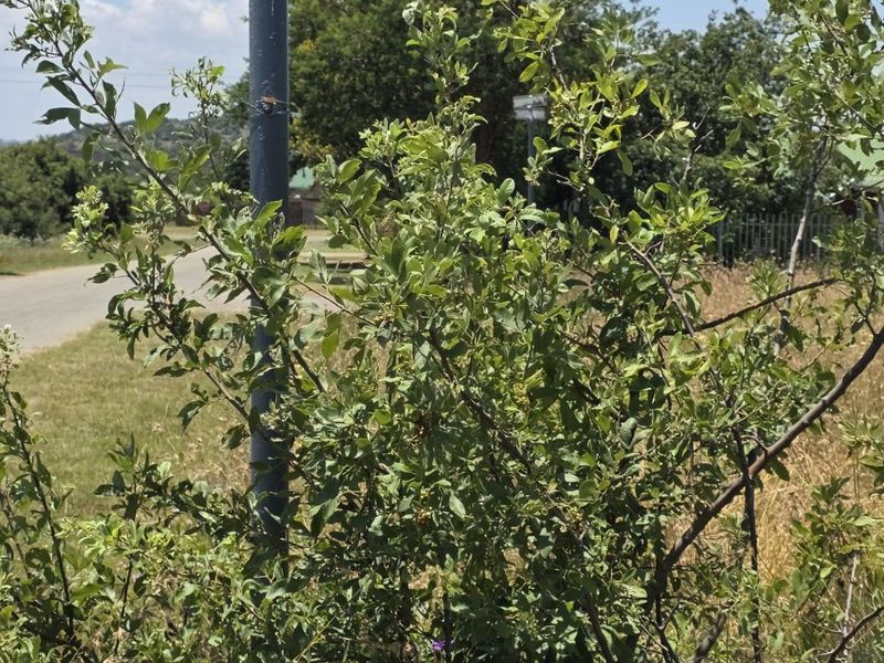 Vacant Land Residential For Sale in Vaal Marina Central - Photo 6