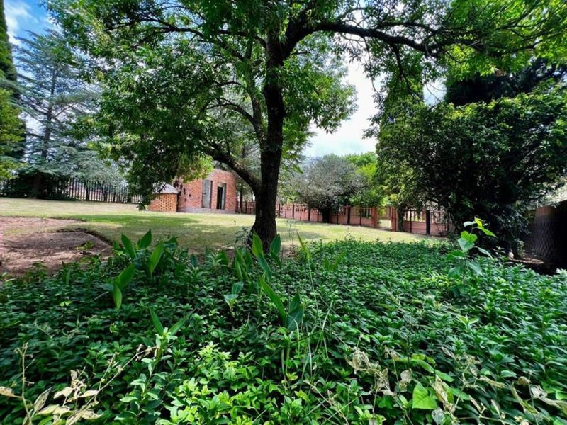 Farm For Sale in Bethal Central - Photo 4