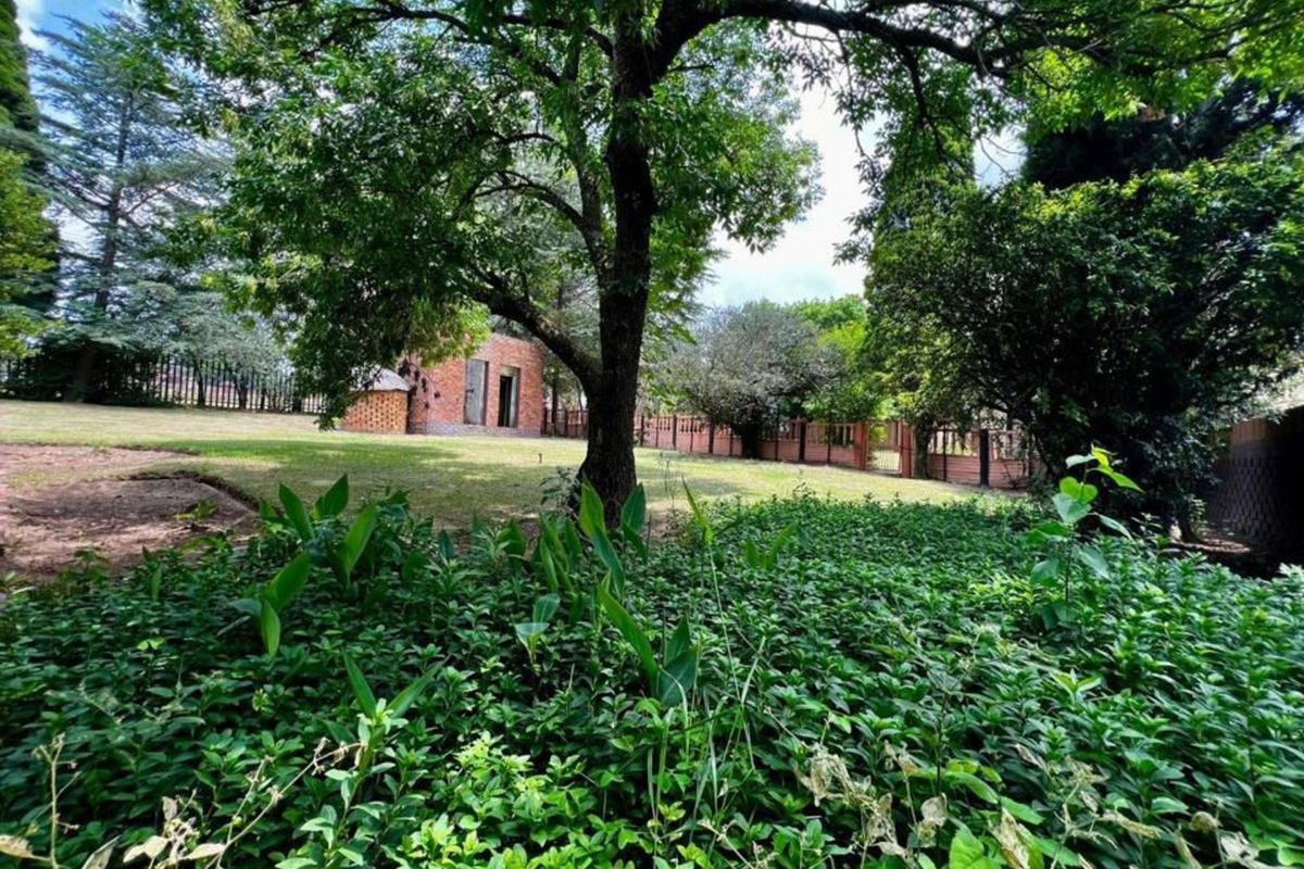 Farm For Sale in Bethal Central - Photo 4