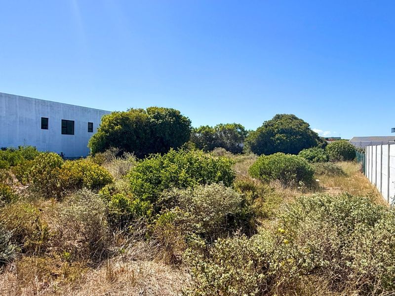 Vacant Land Residential For Sale in Kleinbaai - Photo 6