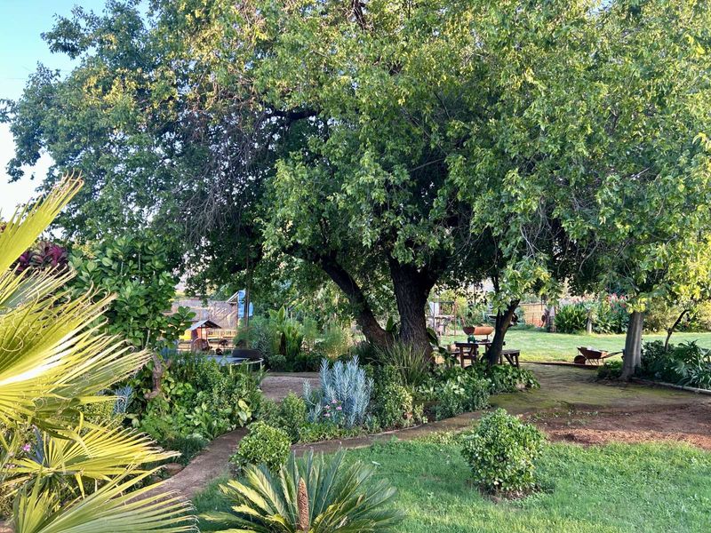 House For Sale in Bokfontein AH - Photo 5