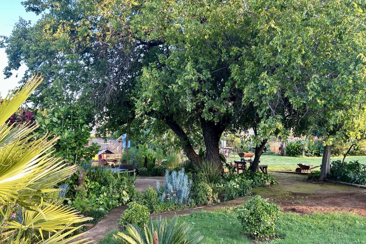 House For Sale in Bokfontein AH - Photo 5