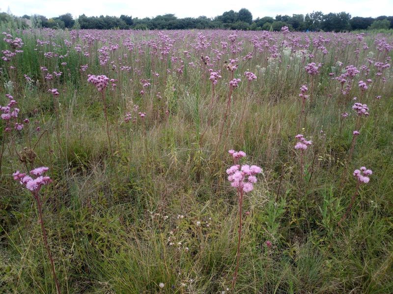 Vacant Land Residential For Sale in Rietvlei View Country Estates - Photo 2