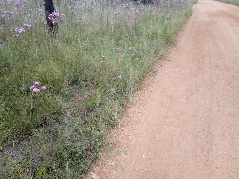 Vacant Land Residential For Sale in Rietvlei View Country Estates - Photo 3