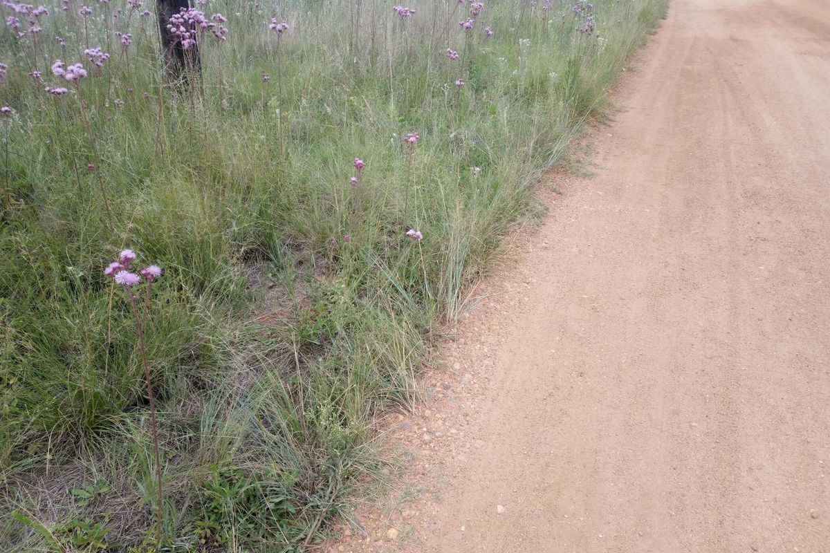 Vacant Land Residential For Sale in Rietvlei View Country Estates - Photo 3