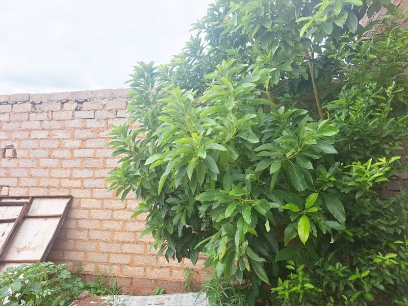 House For Sale in Mamelodi East - Photo 10