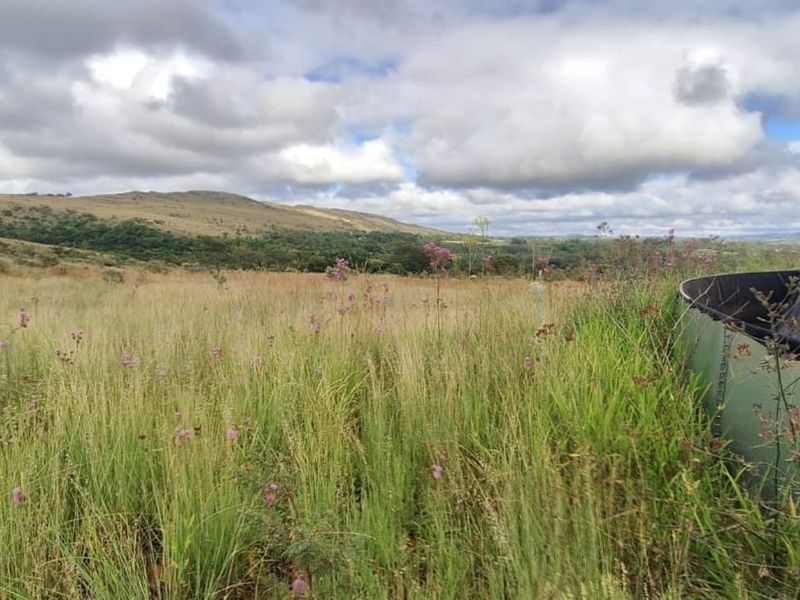 Farm For Sale in Magaliesburg - Photo 9