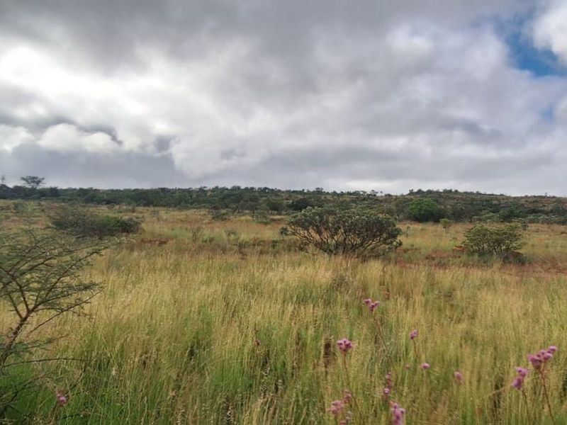 Farm For Sale in Magaliesburg - Photo 8